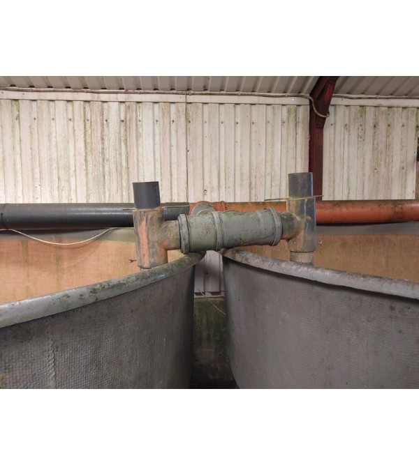 Complete RAS 25 kg feed per day