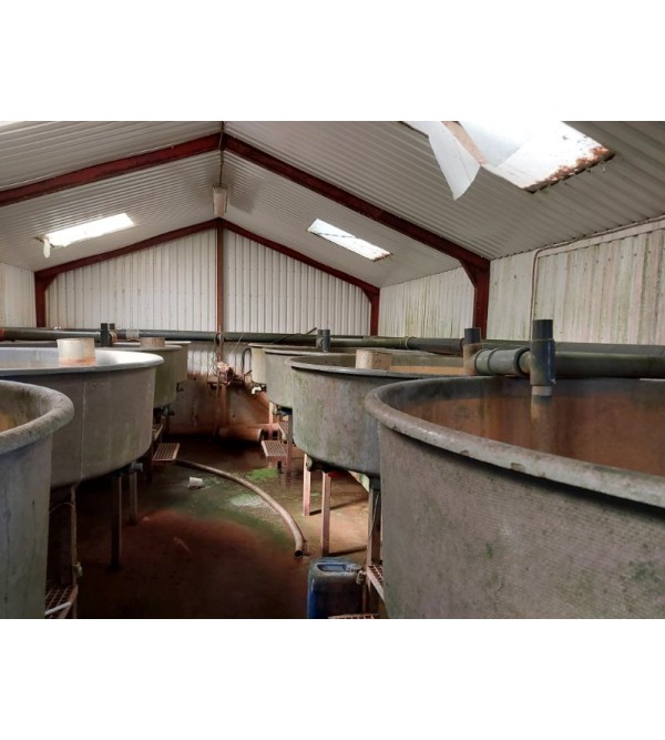 Complete RAS 25 kg feed per day