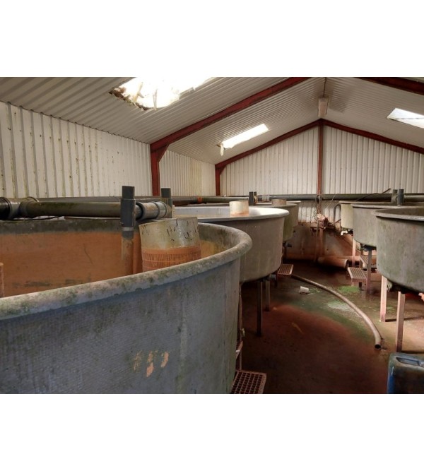 Complete RAS 25 kg feed per day
